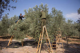 100% Palestinian Olive Oil